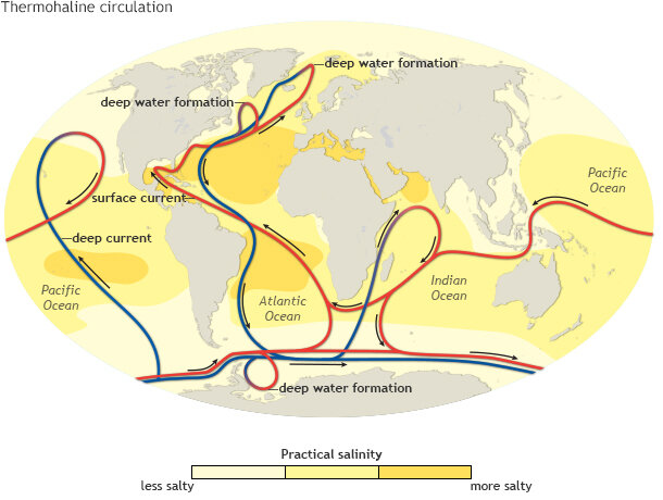 thermohaline circulation