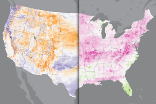 Map image for First blooms of the 2025 spring season were earlier than average across most of the United States